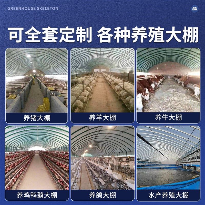 黑白膜养殖大棚全套定制三层防晒加厚钢管骨架温室农用养鸡鸭牛猪