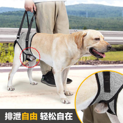 宠物后腿辅助安全带牵引后足无力肌肉萎缩高龄病犬残疾步行助力带