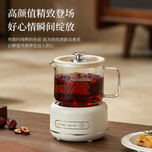 多功能养生壶家用电热杯办公室花茶壶小型玻璃煮水壶炖品礼品赠送