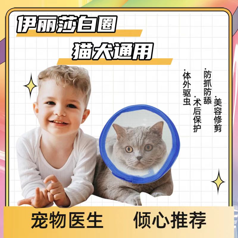 宠物绝育罩猫狗加深头套宠物项圈