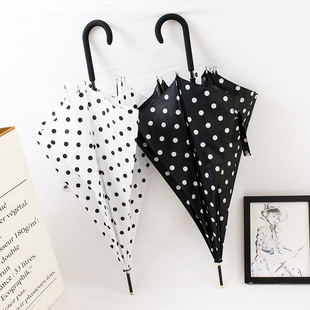 日韩风波点长柄伞黑白色圆点INS自动超轻长伞遮阳小众学生雨伞女