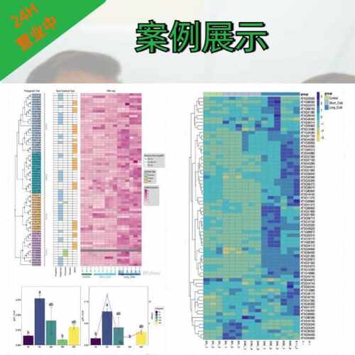 DNA甲基化测序数据分析 医学医生科研生物信息生信服务聚类相关性