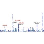 单细胞测序数据分析RNA seq全转录组