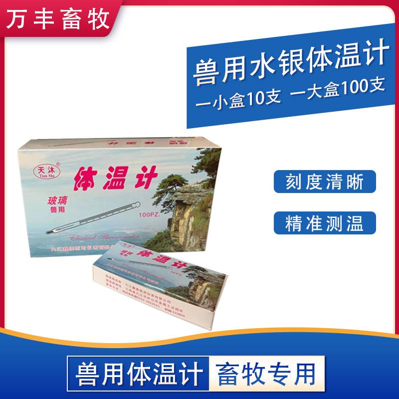 极速兽用体温计肛表玻璃温度计C猪牛羊体温计水银43°体温计