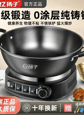 扬子电炒锅家用新款多功能电热锅