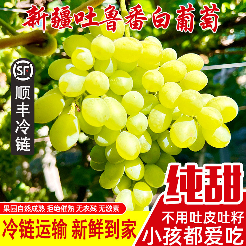 新疆吐鲁番无核白葡萄无籽脆甜应当季新鲜水果整箱顺丰冷运包邮