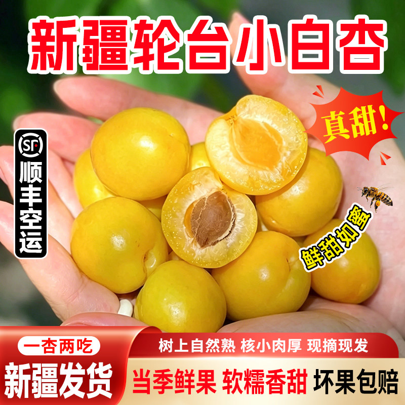 新疆轮台库车小白杏应当季新鲜水果精选纯甜杏子红杏顺丰空运包邮