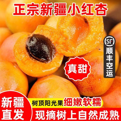 新疆阿克苏小红杏吊干杏顺丰空运