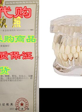 极速Transparent lDisease Teeth Model, YOUYA DENTAL Transpare