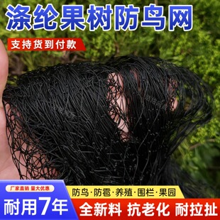 大棚专用防鸟网黑色涤纶果树防护网养殖鱼塘果园农田拦鸟天网罩