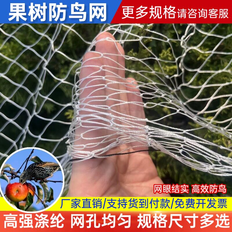 涤纶防鸟网果园鱼塘涤纶合股线