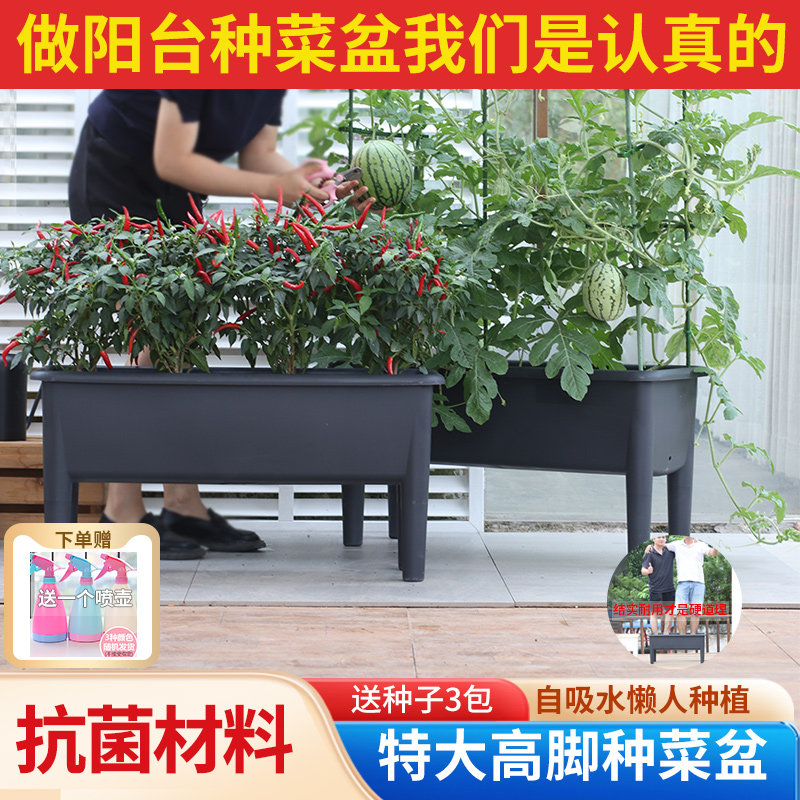 特大号阳台种菜盆架 欧式风格塑胶花盆 长方形蔬菜种植箱