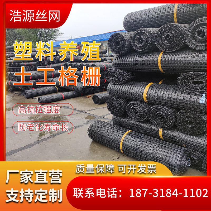 塑料养殖网鸡鸭鹅围栏网鱼塘菜地果园围栏网黑色胶网铺路土工格栅