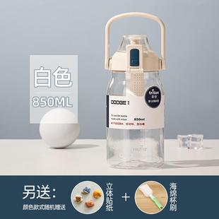 大容量道奇运动水杯tritan茶水分离学生女高颜值水壶男泡茶杯子