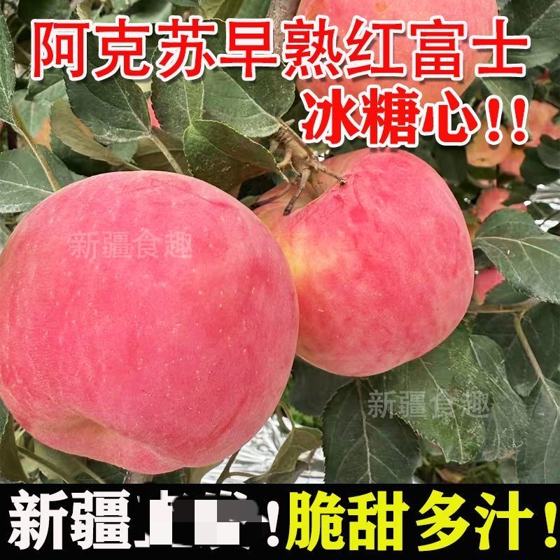正宗新疆阿克苏冰糖心苹果新鲜水果当季孕妇水果丑苹果红富士A