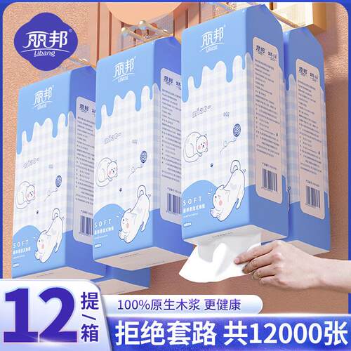 丽邦提挂式抽纸悬挂抽取式卫生纸家用擦手纸厕纸宿舍大包平板纸巾