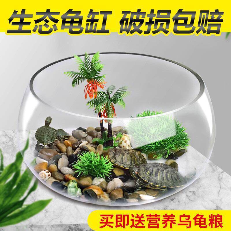 乌龟缸玻璃圆形公桌水培家用小鱼创意透明小型迷你桌面龟缸造景