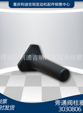 k19 k38发电机组配件 Nt855 发动机零件 旁通阀柱塞3030806