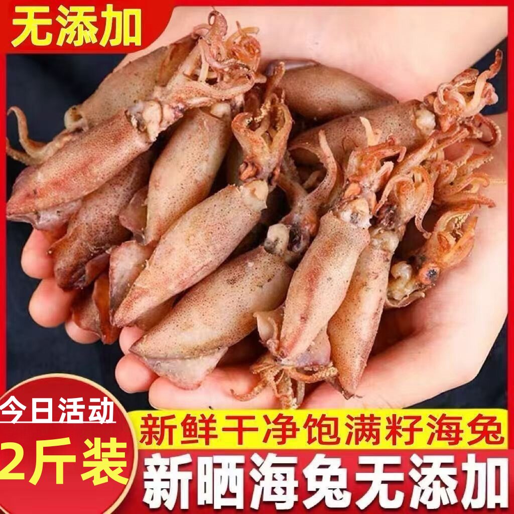 海兔干大号海兔子2斤带籽满籽鱿鱼新鲜水产淡晒笔管鱼野生墨鱼仔
