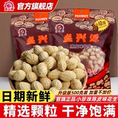 盛兴源陈皮味花生升级版 包装 500g香脆小珍珠带壳花生零食陈皮花生
