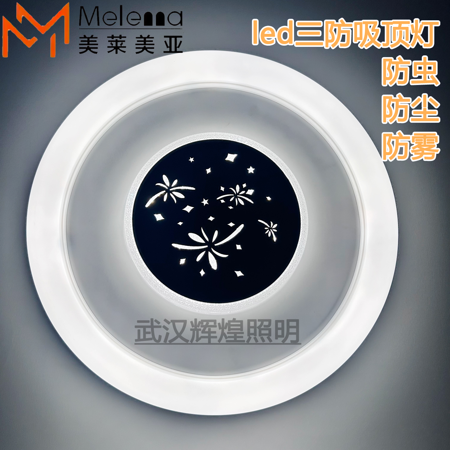 美莱美亚led三防吸顶灯