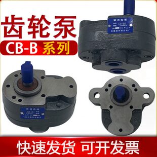 b25 b齿轮泵 b10液压b16小型b125齿轮b2.5油泵一b63 b6钢32