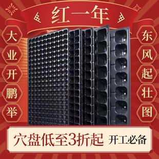 育苗盘新款穴盘加高西瓜蔬菜秧盘水稻育苗盘农用玉米辣椒苗盘
