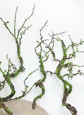 仿真青苔树藤枯藤装饰摆件干枝藤蔓造景假藤条森系庭院绿植苔藓