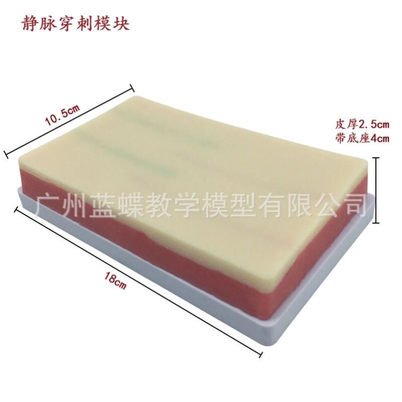 模拟皮肤血管分离结扎静脉注射采血训练模块模型静脉穿刺模块皮下