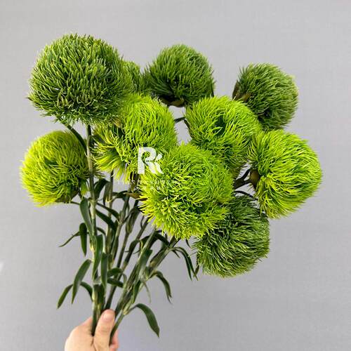 品质婚庆仿真花绿竹然假花自绿毛球森系婚礼插系花装石AL-1216饰