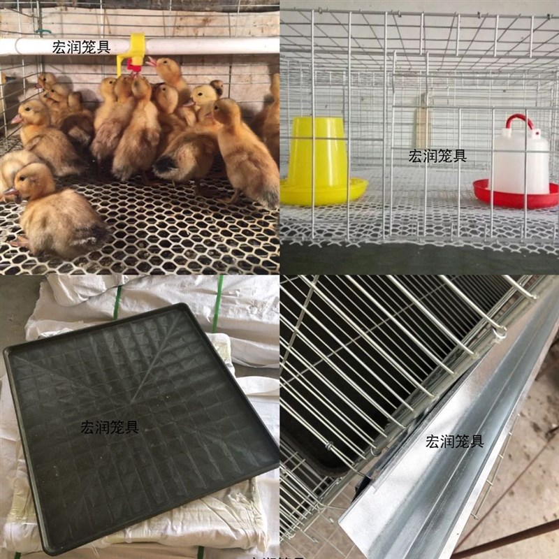 小鸡笼子育雏笼子多层新款养鸡笼家用脱温鸡笼养殖场专用育雏鸡笼