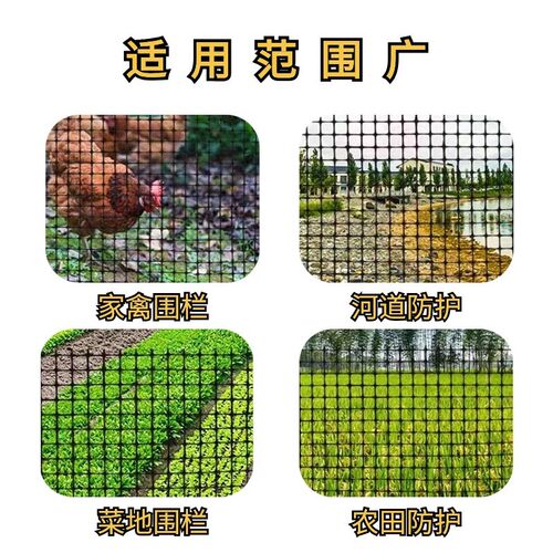 塑料网格土工格栅圈玉米网养鸡围网大棚兜水网栅栏小孔养殖网护栏