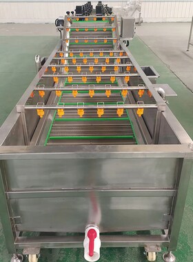 大型果蔬气泡清洗机辣椒山楂蔬菜洗菜机海带酱腌菜脱盐清洗设备