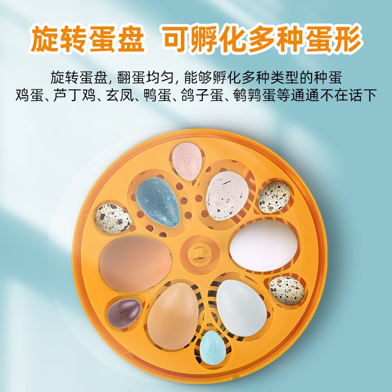 孵蛋器家用芦丁鸡孵化器小型智能孵化机小鸡鹦鹉全自动恒温孵化器