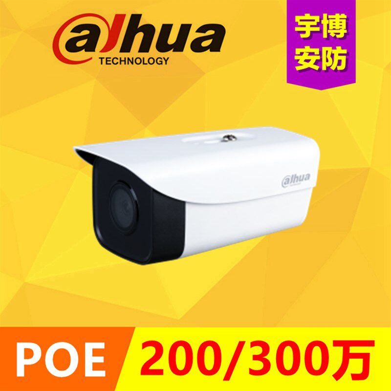POE大华200万300万网路监视摄影镜头双灯红外夜视带录音P20P30