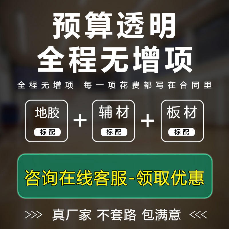 乒乓球场运动地胶垫羽毛球篮球场室内健身房防滑舞蹈pvc橡胶地垫