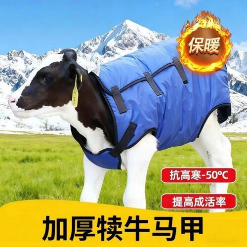 德国牛犊马甲器械新生防寒衣护肚犊牛棉衣加绒牛犊子保暖衣幼冬季