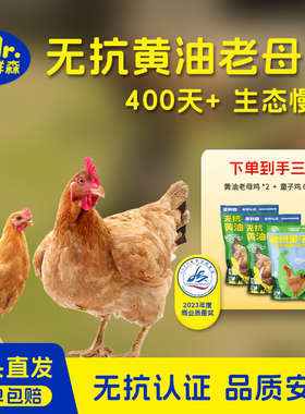 蛋鲜森无抗黄油老母鸡2只+徽州金奖童子鸡650g1只装肉嫩汤鲜味美