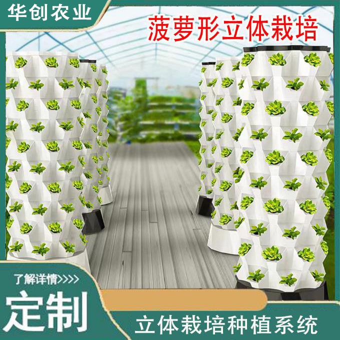 菠萝塔无土栽培霧培设施水果蔬菜大棚气雾栽培模式系统立体种植