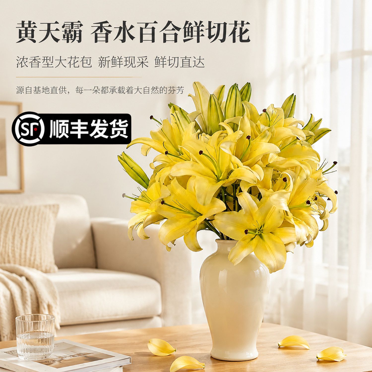 A级黄天霸香水百合鲜切花云南基地直发百合花鲜花 水养家用插花