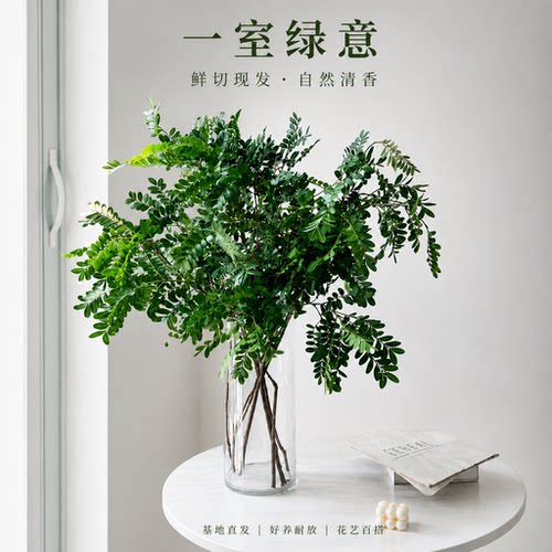 清香木鲜花鲜切枝云南基地直发包邮配花配草耐放新鲜花艺节日装饰