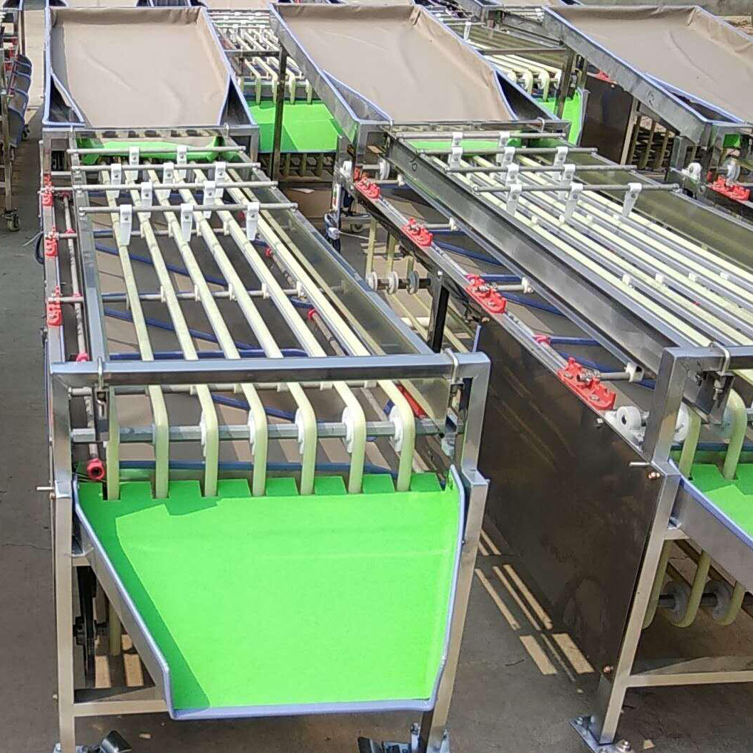 水果分选机调速款水果分选机百香果核桃西红柿不锈钢多功能分选机