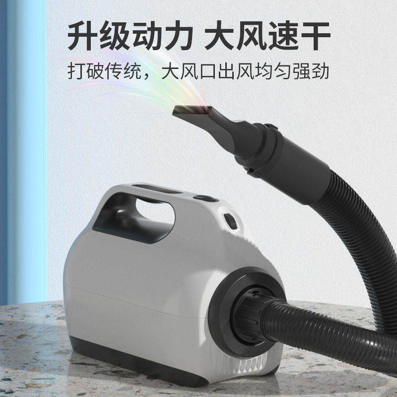宠物吹风机中大型犬洗澡吹水机猫咪狗狗专用大功率吹毛机烘干箱