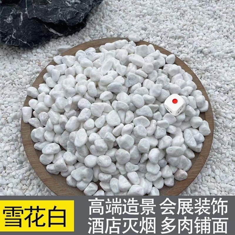 白色鹅卵石多肉盆栽铺面
