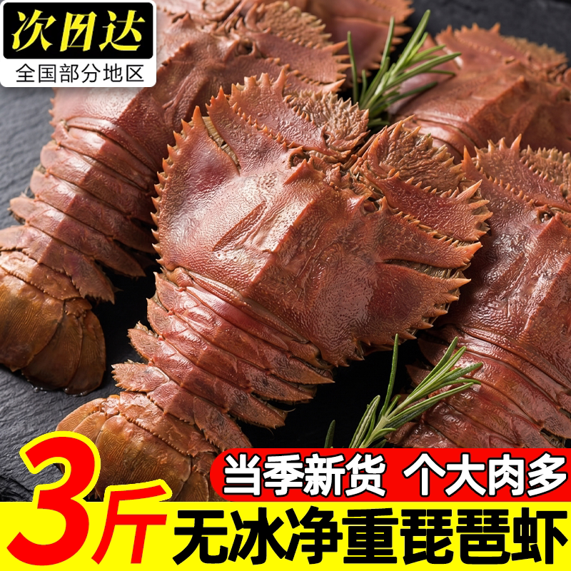 无冰鲜活速冻特大琵琶虾刺身级