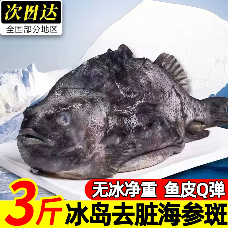 冰岛野生无冰去脏海参斑鱼