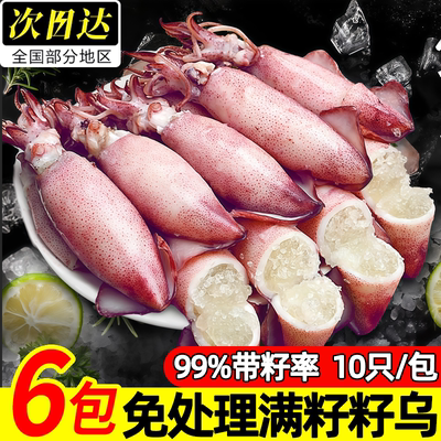 日照满籽新鲜冷冻鱿鱼
