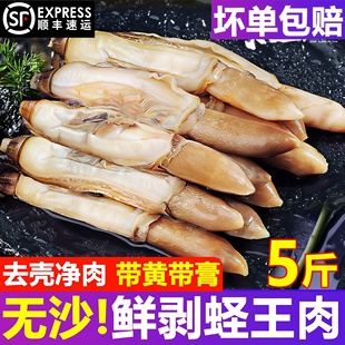 蛏子鲜活冷冻竹节蛏子王蛏王肉新鲜现剥圣子野生海鲜水产贝类顺丰