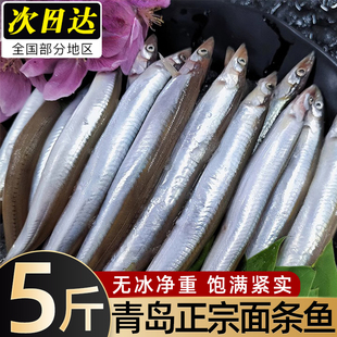 面条鱼鲜活冷冻海鱼沙丁鱼小银鱼小青鱼玉筋鱼泥鳅鱼海鲜水产批发