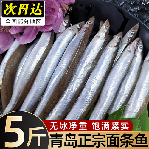 面条鱼鲜活冷冻海鱼沙丁鱼小银鱼小青鱼玉筋鱼泥鳅鱼海鲜水产批发